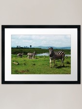 Listing image for Wildlife Photography from South Afr Framed Wall Art Poster Canvas Print Picture