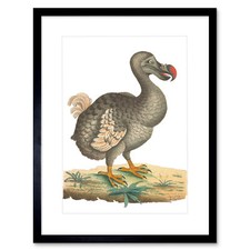 Listing image for Bird Dodo Vintage Illustration Art Print Framed Poster Wall Decor