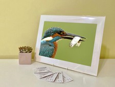Listing image for Art Print Image Picture Photo Photography - Kingfisher Bird | Nature | Wildlife