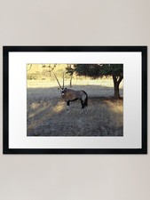 Listing image for oryx - Namibia wildlife Framed Art Framed Wall Art Poster Canvas Print Picture