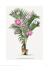 Listing image for Summer Thornton Lemur Palm Art Print and Poster Framed or Print Only