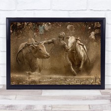 Listing image for Action Traditional Bull-Race Muddy Water Wall Art Print