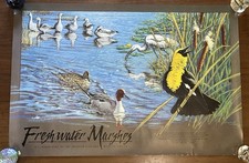 Listing image for VTG 1994 Birds Poster Wetland Marshes - U.S. Dept of Fish & Wildlife 24 x 36”