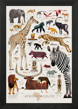 Listing image for African wildlife Framed Wall Art Poster Canvas Print Picture