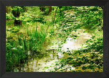 Listing image for Abundant Wetland Flora Framed Wall Art Poster Canvas Print Picture