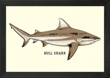 Listing image for Bull Shark Vintage Framed Wall Art Poster Canvas Print Picture