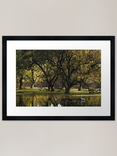 Listing image for Wetland Framed Art Print Framed Wall Art Poster Canvas Print Picture