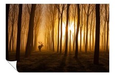 Listing image for Deer in Golden Forest Wildlife Artistic Poster Wall Art Home Decor