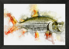 Listing image for TigerFish River Monster Framed Wall Art Poster Canvas Print Picture