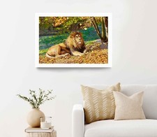 Listing image for Barbary Lion in Autumn Leaves Poster Premium Quality Choose your Size