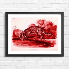 Listing image for Ocelot Leopard Cat Vintage Illustration Red Framed Wall Art Print Large Picture