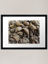 Listing image for Geology Masks Fossils Paleontology Framed Wall Art Poster Canvas Print Picture