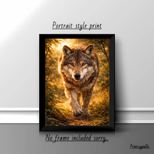 Listing image for Grey Wolf Walking Forest Golden Light Wildlife A4 Wall Art Print Poster Picture