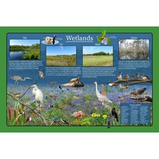 Listing image for Wetlands Educational Nature Poster / Fun Kids Wildlife Poster