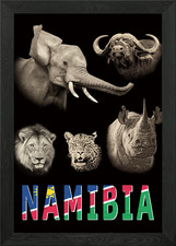 Listing image for Namibia Big 5 Wildlife Framed Wall Art Poster Canvas Print Picture