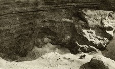 Listing image for Last Barbary Lion 1925 GLOSSY POSTER PICTURE PHOTO PRINT 8×10 photos print