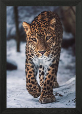 Listing image for Persian Leopard Framed Wall Art Poster Canvas Print Picture