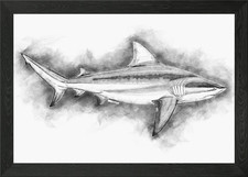 Listing image for Bull Shark Sketch Framed Wall Art Poster Canvas Print Picture
