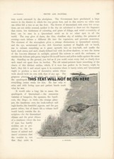Listing image for 1890 A DUGONG ART ILLUSTRATION PRINT