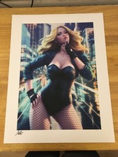 Listing image for Black Canary - Birds of Prey Sideshow Art Print by Stanley “Artgerm” Lau #335/