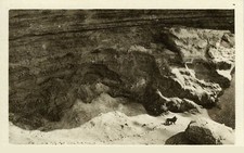 Listing image for Last Barbary Lion 1925 GLOSSY POSTER PICTURE PHOTO PRINT BANNER 12357