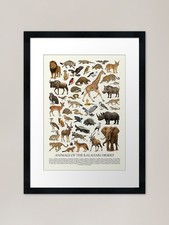 Listing image for Animals of the Kalahari Desert Retr Framed Wall Art Poster Canvas Print Picture