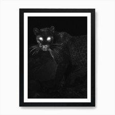 Listing image for Shape Shifter Art Print Framed Wall Art Poster Canvas Print Picture