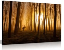 Listing image for Deer in Golden Forest Wildlife Framed Canvas Print Wall Art Home Decor