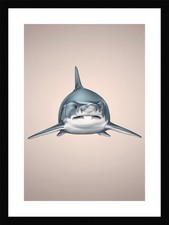 Listing image for Tranquil Shark Art Print Framed Wall Poster Picture