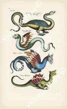 Listing image for Antique print DRAGON SERPENT engraving Merian 1657 wall art decor poster Plate 2